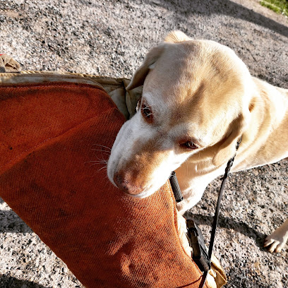 Los Medias Rojas | Adiestradores de perros en San Agustin del Guadalix