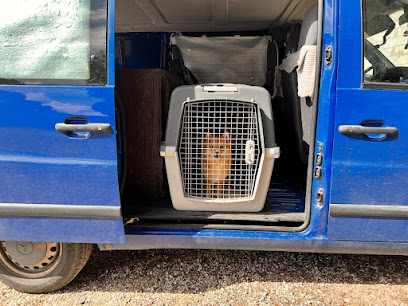 K9 Working System | Adiestradores de perros en Cordoba