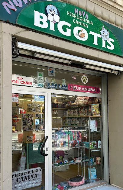 Bigotis | Peluqueria para perros en Barcelona