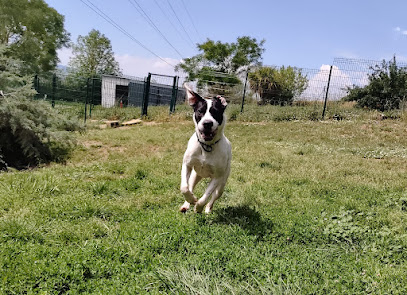 Kinder Pet Hotel | Guardería para perros en Pamplona