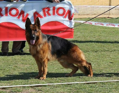 El Cerrolen | Guardería para perros en Galapagar