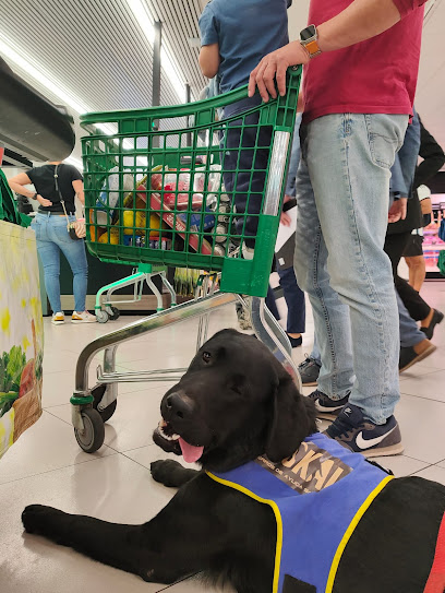 JasKal | Adiestradores de perros en Laguna de Duero