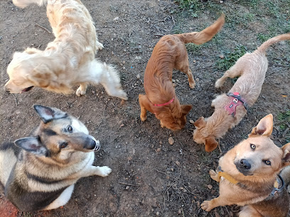 EXTRAPERRESTRES | Adiestradores de perros en Sariegos del Bernesga