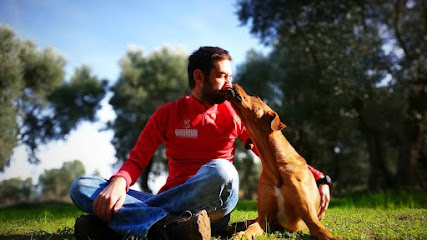 Binomium. | Adiestradores de perros en Zaragoza