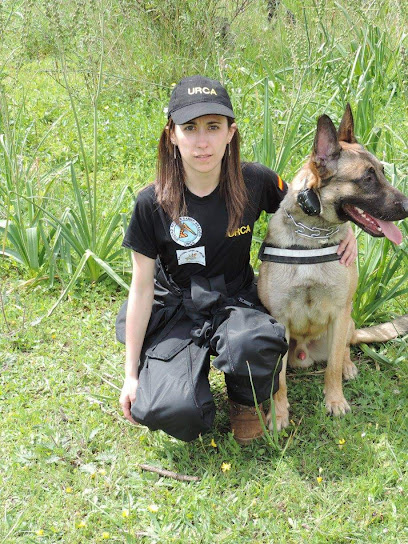 Club Canino Open España. | Adiestradores de perros en Penaflor de Gallego