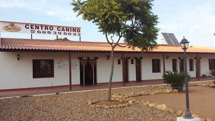 Brecoluz | Guardería para perros en Lepe