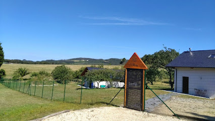 El lugar del perro | Guardería para perros en Castropol