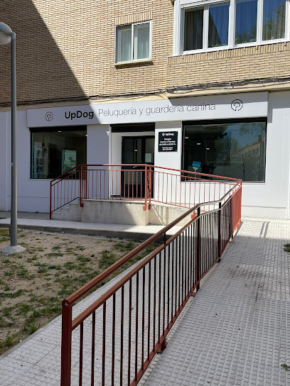 UpDog | Guardería para perros en Hortaleza