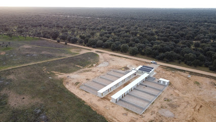 Mascoteka | Guardería para perros en Carrascal del Barregas