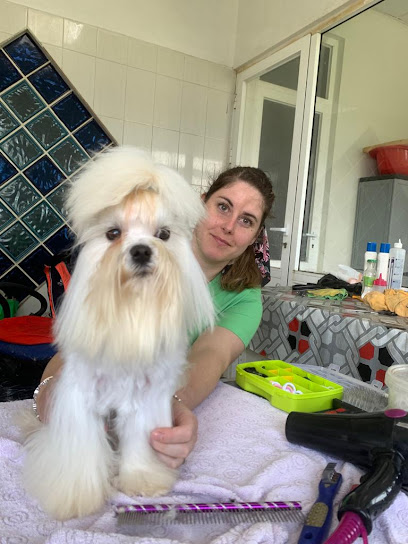Ana Díaz | Peluqueria para perros en La Coruña