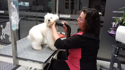 Nana | Peluqueria para perros en Portugalete