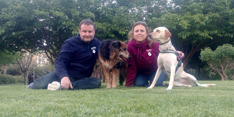 Laykan | Adiestradores de perros en Sant Vicent del Raspeig