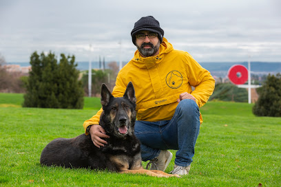 Educacion Canina | Adiestradores de perros en San Fernando de Henares