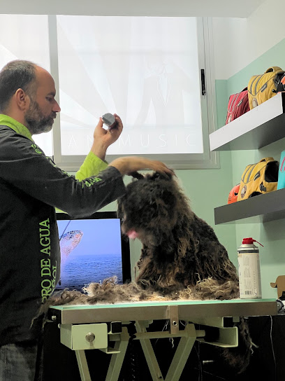 Rastadog | Peluqueria para perros en Córdoba