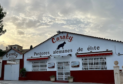 New Caraby | Guardería para perros en Benidorm