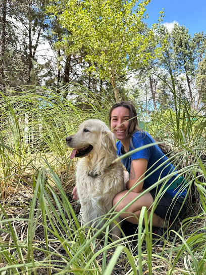ALMACAN | Guardería para perros en Alalpardo