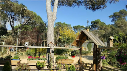 Kynoikos residencia canina | Guardería para perros en Vilassar de Dalt