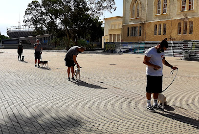 Garykan | Adiestradores de perros en Santa Cruz de Tenerife