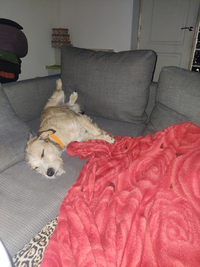 Miriam Molero | Guardería para perros en Barcelona