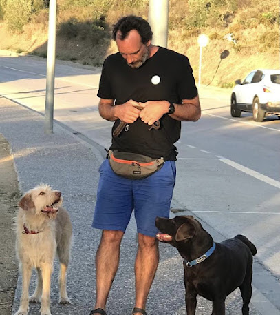 Gos-SOS | Adiestradores de perros en Barcelona