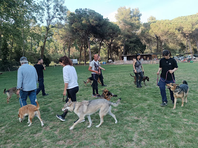 Pimerkan | Adiestradores de perros en Bigues i Riells