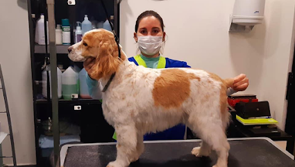 Jaca | Peluqueria para perros en Jaca