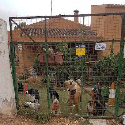 DogHotelCamp | Guardería para perros en La Aljorra