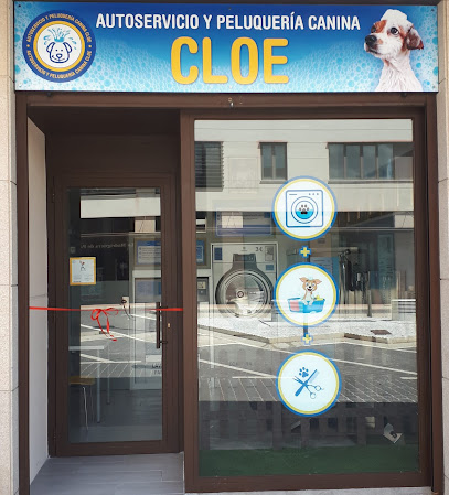 Cloe | Peluqueria para perros en Toledo
