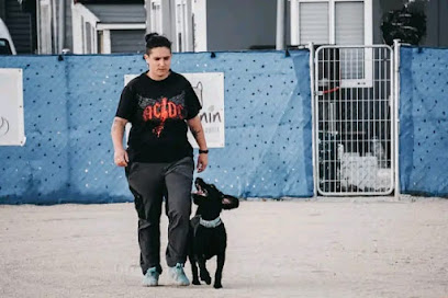 KoaCan | Adiestradores de perros en Alhendin