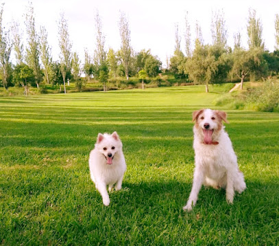 El Bosque de Jack | Peluqueria para perros en Torrent