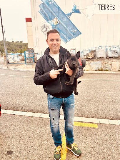 Pol Quintana | Adiestradores de perros en El Vendrell
