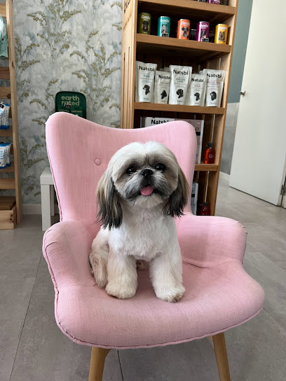 Bolboreta | Peluqueria para perros en Alpedrete