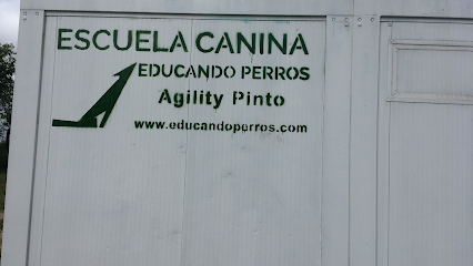 Centro Canino Educando Perros | Adiestradores de perros en Pinto