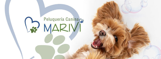 Mariví | Peluqueria para perros en Alcázar de San Juan