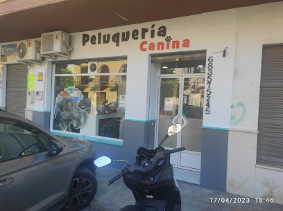 Pelos Caninos | Peluqueria para perros en San José de la Rinconada