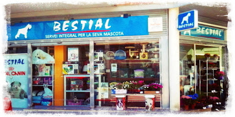 Bestial Masquefa | Peluqueria para perros en Masquefa