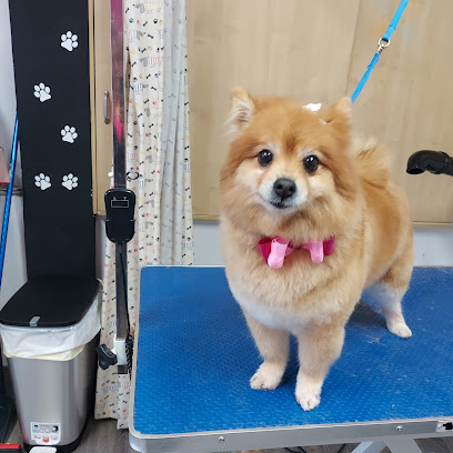Wendy & Neo | Peluqueria para perros en Málaga