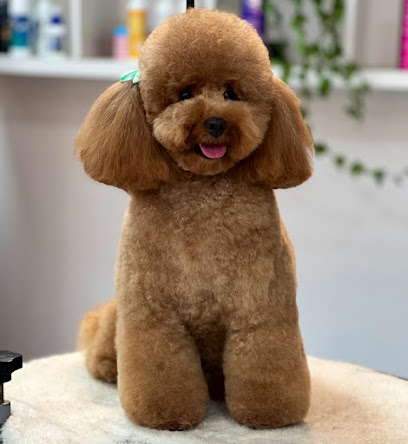 Oh! My Dog | Peluqueria para perros en La Coruña