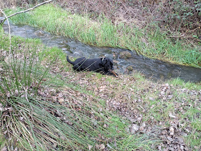 CAN FEROX | Guardería para perros en El Rebollar