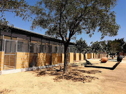 La Martina Residencia Canina | Guardería para perros en Casarrubios del Monte