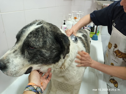 Zar | Peluqueria para perros en Madrid