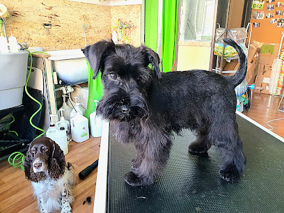 Noelia | Peluqueria para perros en AmpoSanta