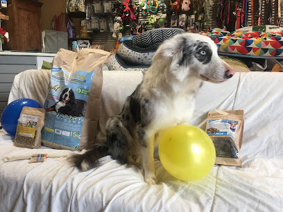 Anna | Peluqueria para perros en Torrent