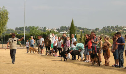 Grupo Yaakun | Adiestradores de perros en Godelleta
