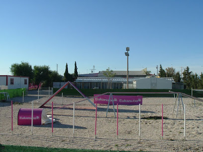 Escuela Canina Altorreal | Adiestradores de perros en Molina de Segura