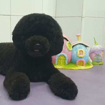Cotompel | Peluqueria para perros en Valencia