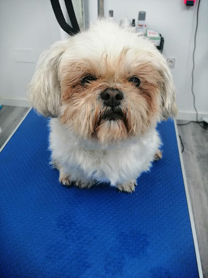 Pretty Can Grooming | Peluqueria para perros en Sanlúcar de Barrameda