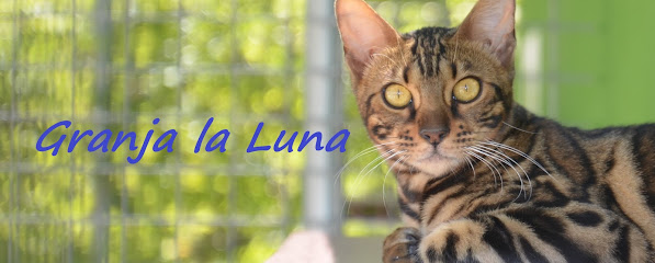 Granja La Luna | Guardería para perros en Belmonte de Tajo