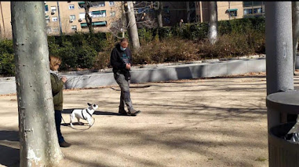 El Perro Escuchado | Adiestradores de perros en Madrid