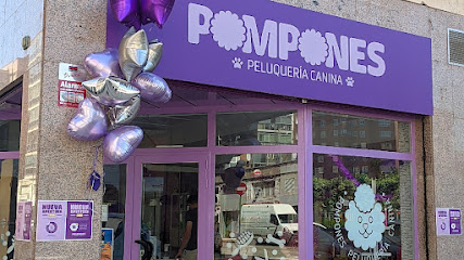 Pompones | Peluqueria para perros en Burgos